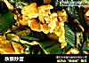 秋葵炒蛋的做法