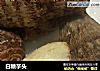 白糖芋头的做法