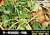 不一样的搭配～鸡腿香菇炖豆腐的做法
