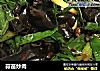 蒜苗炒肉的做法