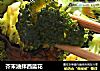 芥末油拌西蓝花的做法