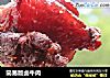 简易版卤牛肉的做法