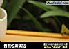 香煎包菜锅贴的做法