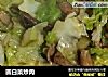 圆白菜炒肉的做法