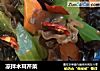 凉拌木耳芹菜的做法