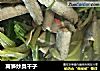 莴笋炒臭干子的做法