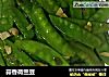 蒜香荷兰豆的做法
