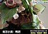 地方小菜：鸭耙的做法