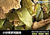 小炒青笋鸡胸肉的做法