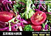 五彩缤纷大拌菜的做法