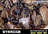 霉干菜燜五花腩的做法
