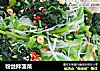 粉丝拌菠菜的做法
