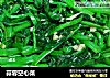 蒜蓉空心菜的做法