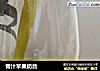 青汁苹果奶昔的做法