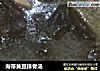 海带黄豆排骨汤的做法