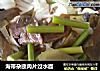 海带杂蔬肉片过水面的做法
