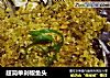 超简单剁椒鱼头的做法