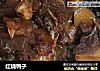 红烧鸭子的做法
