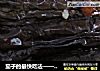 茄子的最快吃法——肉茄盒的做法