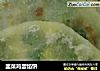 韭菜鸡蛋馅饼的做法