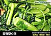 蒜香空心菜的做法