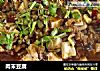 肉末豆腐的做法