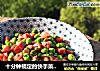 十分钟搞定的快手菜——豌豆火腿肠的做法