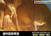金针菇排骨汤的做法