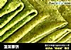 菠菜春饼的做法