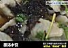 酸汤水饺的做法