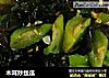 木耳炒丝瓜的做法
