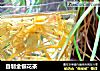 自制金银花茶的做法