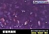 紫薯燕麦粥的做法