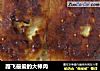 路飞最爱的大棒肉的做法