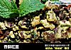 香酥红豆的做法