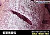 紫薯果酱包的做法
