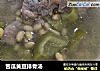 苦瓜黄豆排骨汤的做法