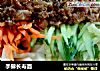 手擀长寿面的做法