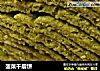 菠菜千层饼的做法