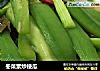冬菜素炒棱瓜的做法