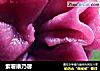 紫薯康乃馨的做法