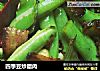 四季豆炒腊肉的做法