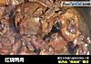 红烧鸭肉的做法