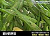 素炒四季豆的做法