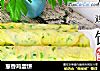 葱香鸡蛋饼的做法