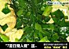 “?夏日懒人餐”韭菜炒鸡蛋的做法