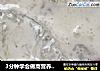 3分钟学会做高营养牛奶燕窝的做法