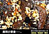 美味小零食-----牛肉干的做法