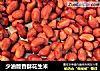 少油版香酥花生米的做法