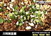 川味嫩豆腐的做法